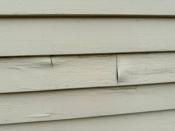 Best Residential Vinyl Siding Installation  in South Bloomfield, OH